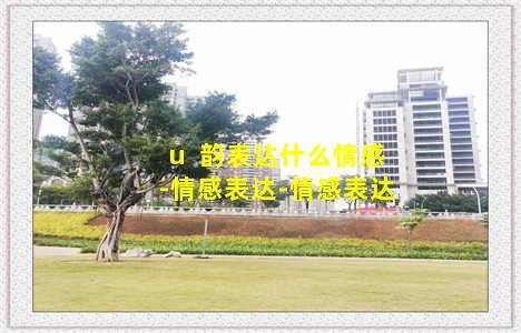 u  韵表达什么情感-情感表达-情感表达